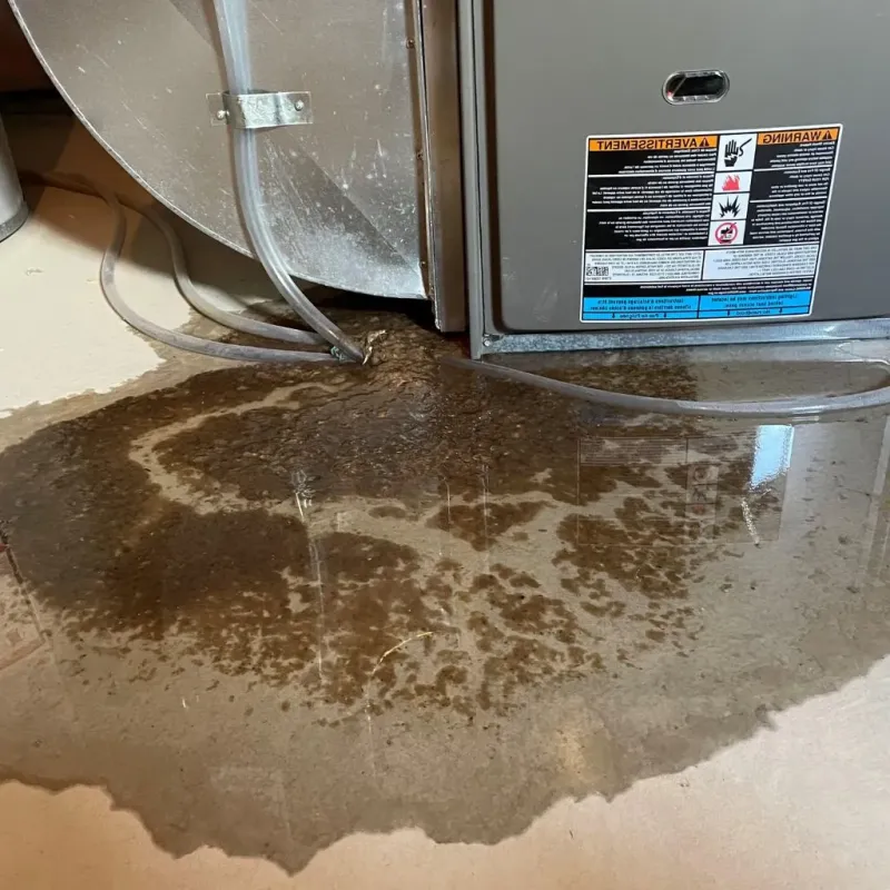 Pipe Burst and Leak Restoration in Shorewood Forest, IN