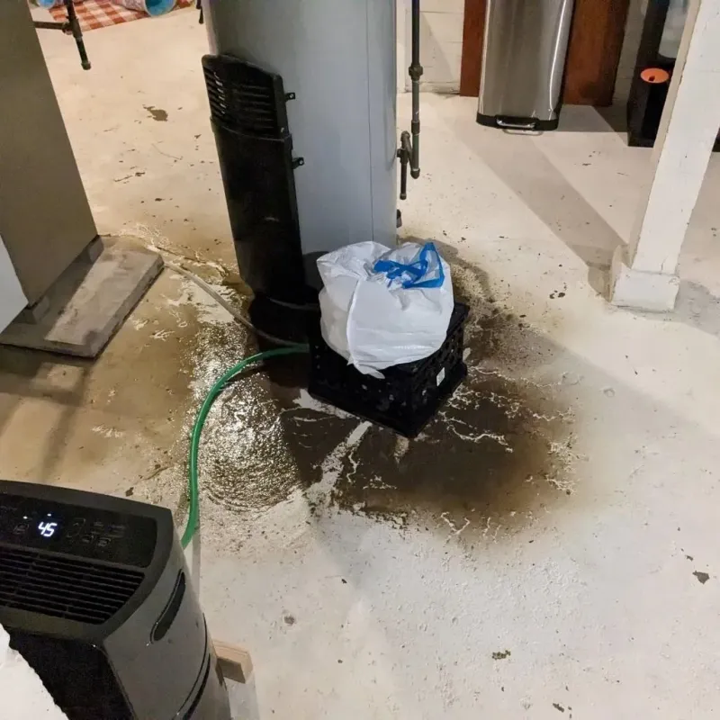 Sewage Backup Cleanup Service in Shorewood Forest, IN
